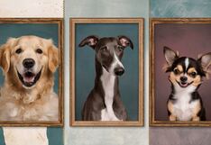 El perro que escojas en esta imagen te dirá si eres una persona con gran futuro