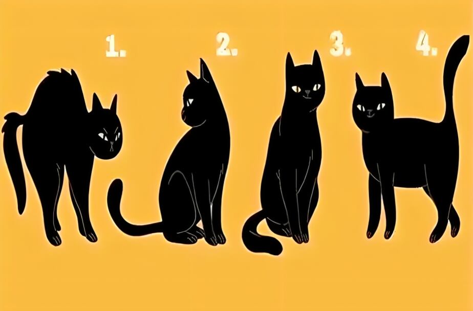 Test de personalidad: descubre cómo te ven las personas según el gato que elijas (Foto: GenialGuru).
