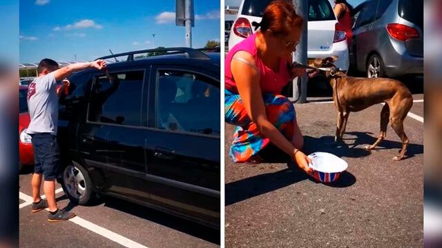 Héroes sin capa salvan a perrito a punto de morir sofocado dentro de auto