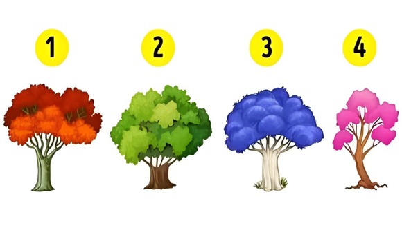 Test visual: elige un árbol en esta imagen para descubrir cúal es tu verdadera forma de ser (Foto: Namastest).