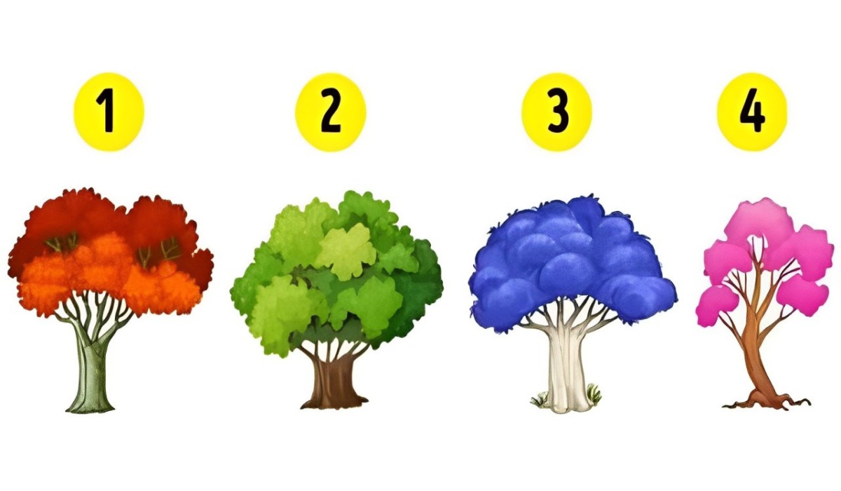 Test visual: elige un árbol en esta imagen para descubrir cúal es tu verdadera forma de ser (Foto: Namastest).