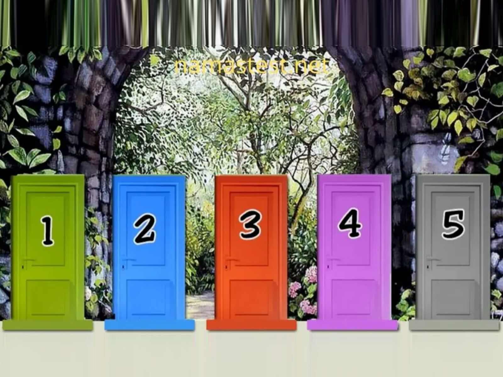 TEST VISUAL | Esta imagen te muestra cinco puertas. Indica cuál quieres abrir. (Foto: namastest.net)