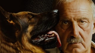 “Gunther, el perro millonario”: la historia real detrás del documental de Netflix