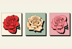 Elige una de las rosas en esta imagen para descubrir cómo te irá en el amor este 2025