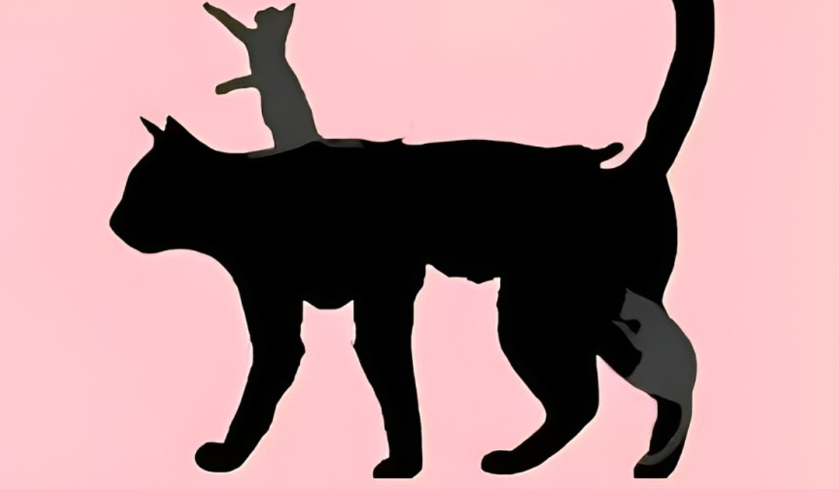 Test visual: la cantidad de gatos que observes en esta imagen revelará cuál es tu edad mental (Foto: GenialGuru).