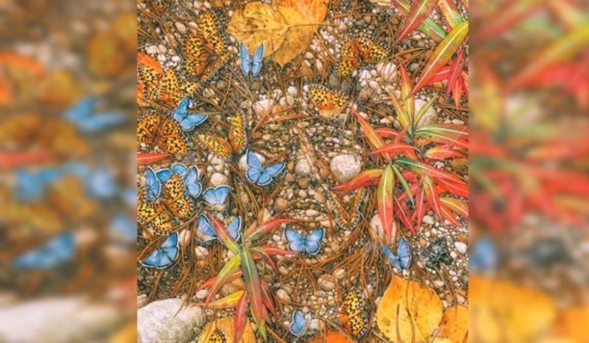 Debes mirar por algunos segundos la ilustración y tras ello conocerás los resultados del test visual. | Foto: Día a día me supero.