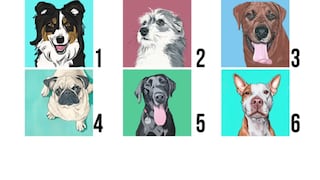 El perro que más te guste expondrá el tipo de persona que eres