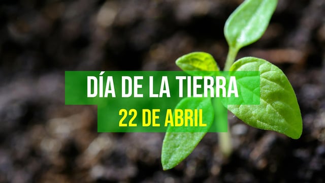 80 frases del Día de la Tierra: mensajes para inspirar y reflexionar este 22 de abril