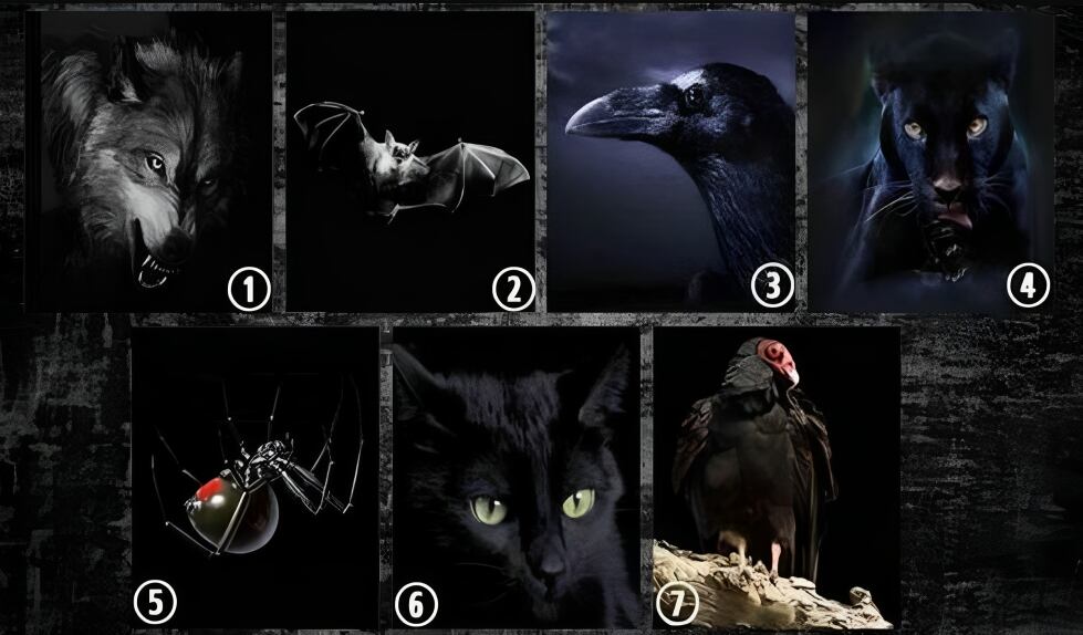 El animal que más te guste en esta imagen revelará cuál es tu lado más oscuro (Foto: GenialGuru).