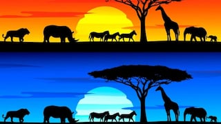 Demuestra tu coeficiente señalando las diferencias entre las imágenes ¡Pocos lo consiguen!