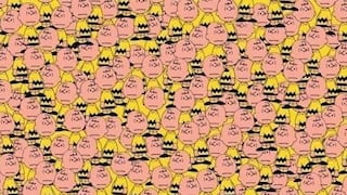 ¿Viste todos los Charlie Brown? Debes encontrar a Pikachu que anda perdido entre ellos [FOTO]