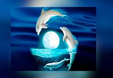 Test visual: descubre si eres alguien sensible o perfeccionista según qué viste