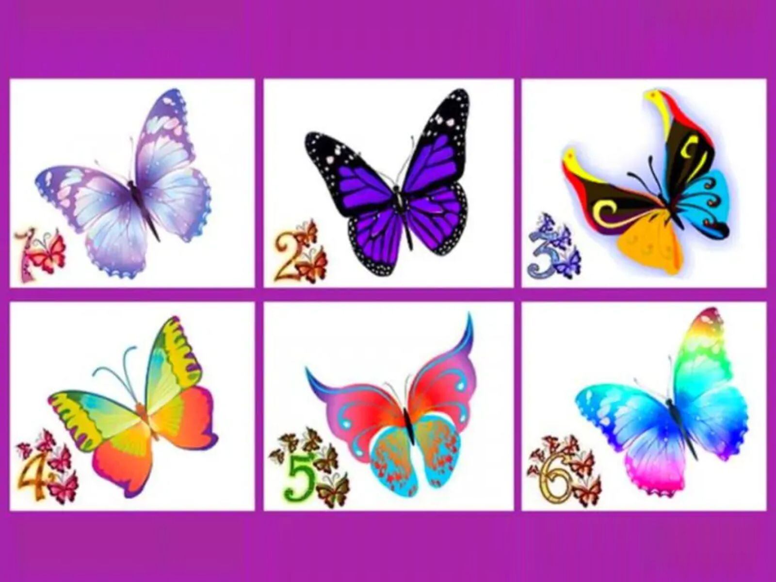 TEST VISUAL | Esta imagen te muestra seis mariposas. Escoge una. (Foto: namastest.net)