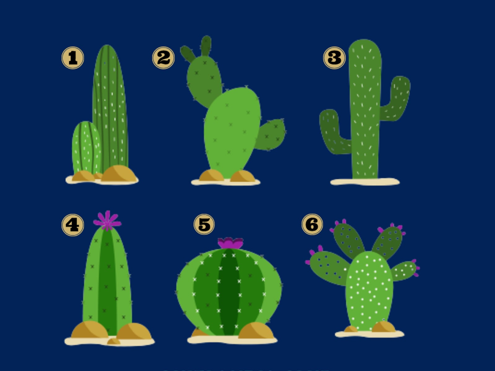 TEST DE PERSONALIDAD | ¿Te sientes conectado con la naturaleza? Este test te invita a explorar tu interior a través de los cactus. Cada especie tiene un significado especial y puede revelarte aspectos de tu personalidad que desconocías.