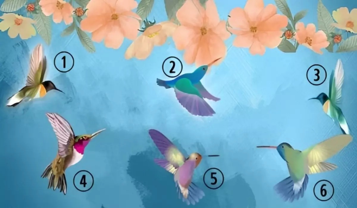 Test visual: el primer colibrí que elijas aquí determinará cuál es tu verdadera personalidad (Foto: GenialGuru).