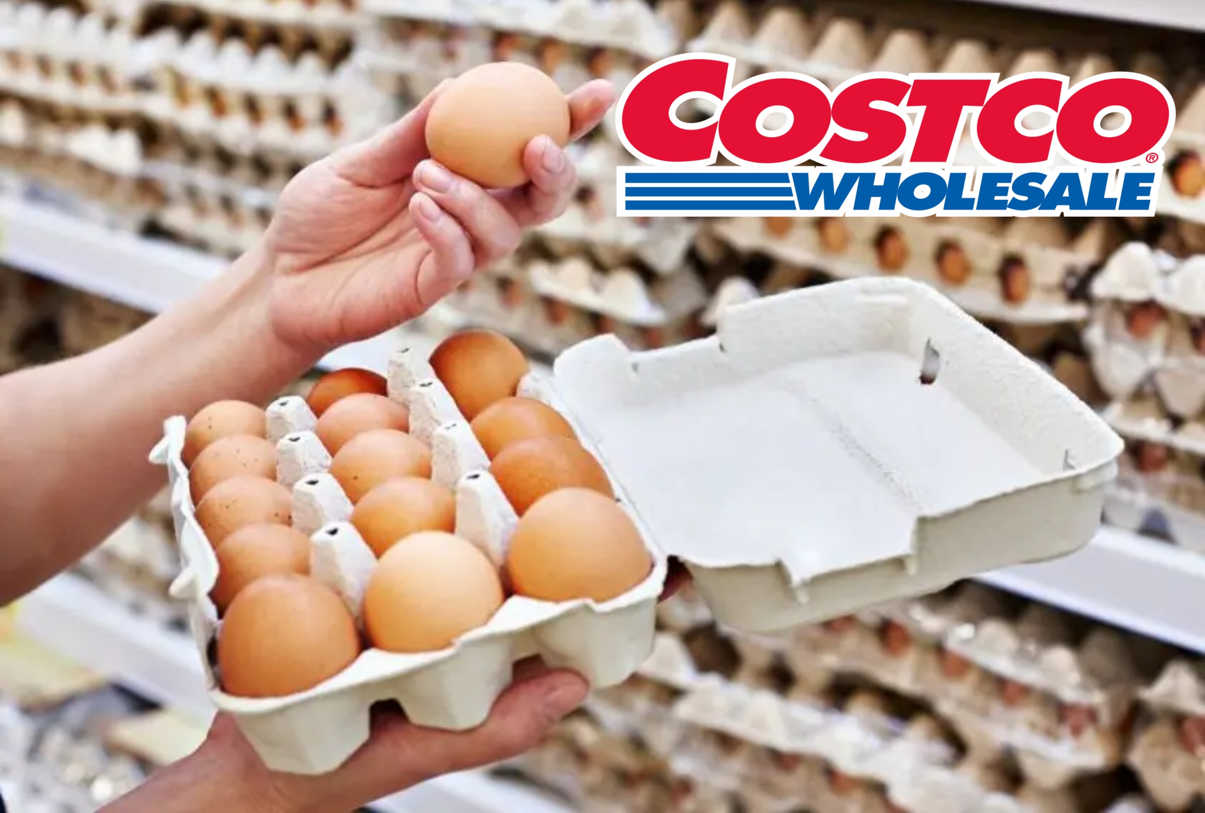 El precio de los huevos continúa en alza y sigue alcanzando un nuevo récord en el mes de abril a poco de las Pascuas en los Estados Unidos. (Foto: Composición Depor)