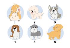 Tu perro favorito te indicará tu mayor virtud como persona