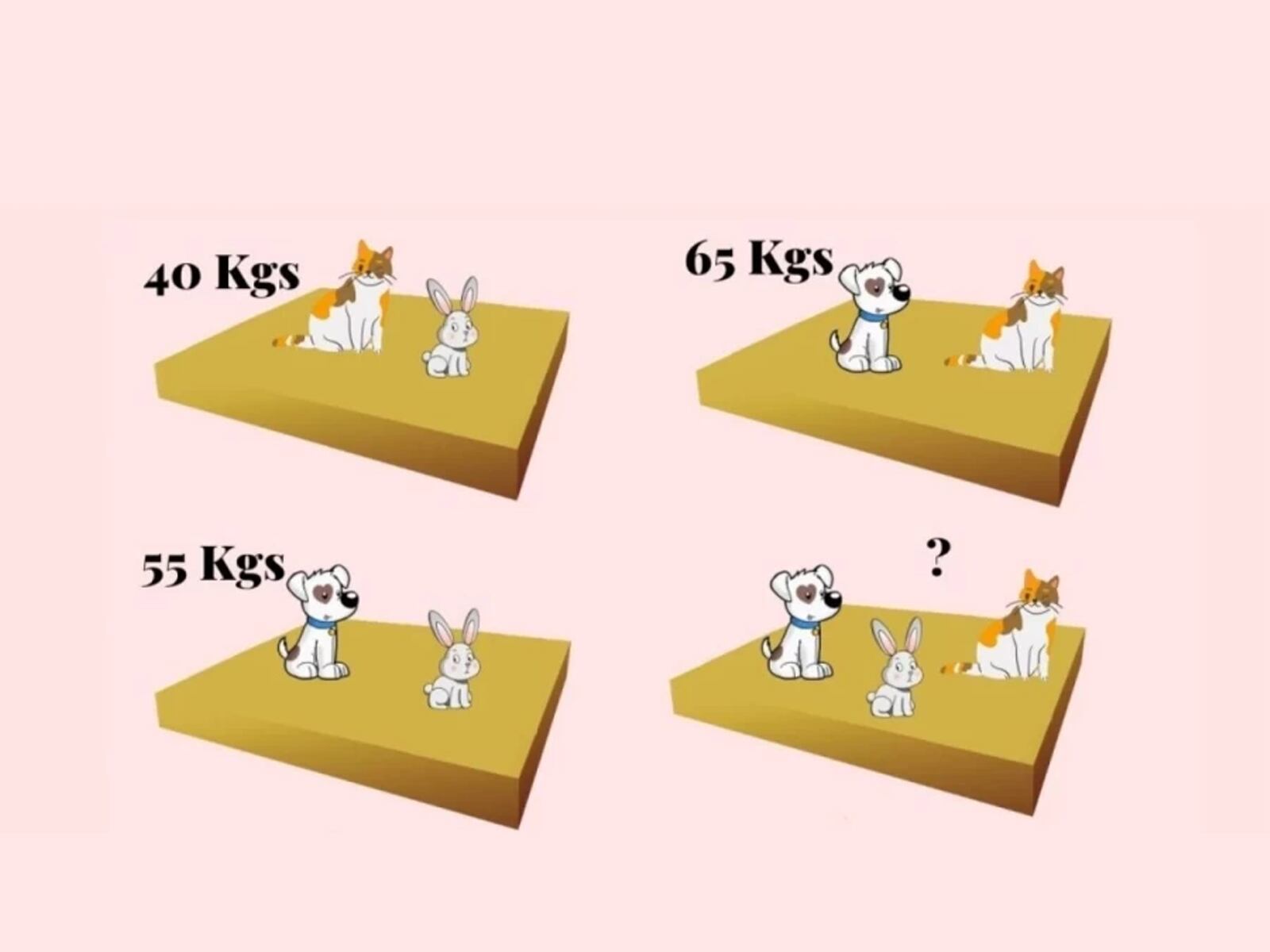 RETO MATEMÁTICO | ¿Este intrigante reto matemático te desafía a calcular el peso de diferentes animales en un tiempo limitado de 25 segundos. | FresherLive