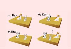 Descifra el reto matemático y calcula el peso de los animales en tiempo récord