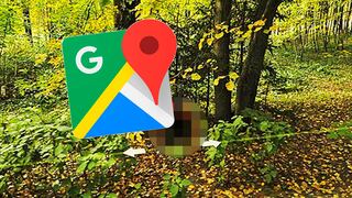 Google Maps: imagen captada en medio del bosque causa desconcierto