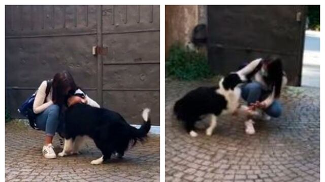 El conmovedor reencuentro entre un perrito y su dueña que regresó a casa después de muchos días