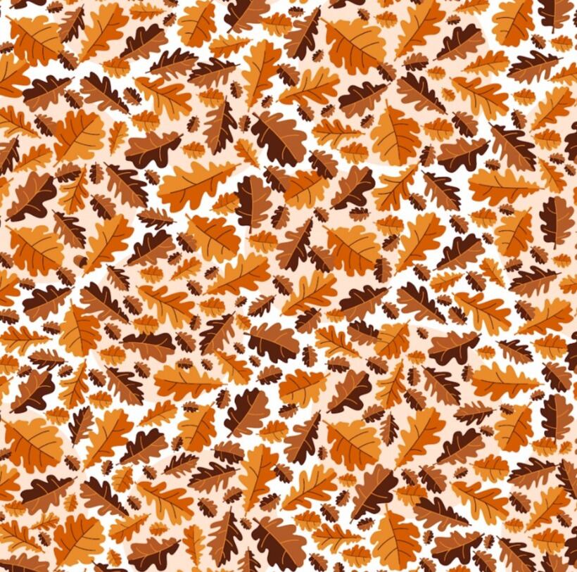 ACERTIJO VISUAL | ¿Puedes detectar la bellota en menos de 28 segundos?| Betway