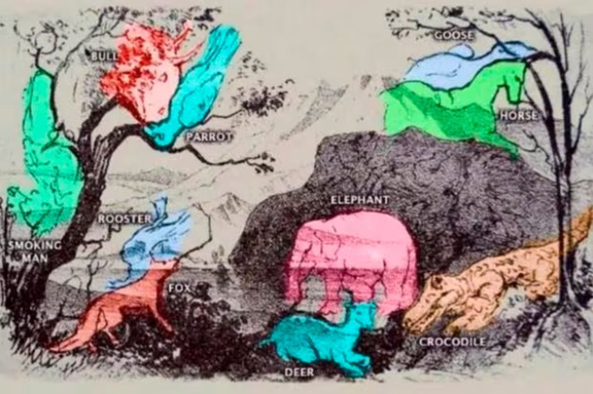 Estos son los diez animales escondidos en el test de personalidad (Foto: Namastest).