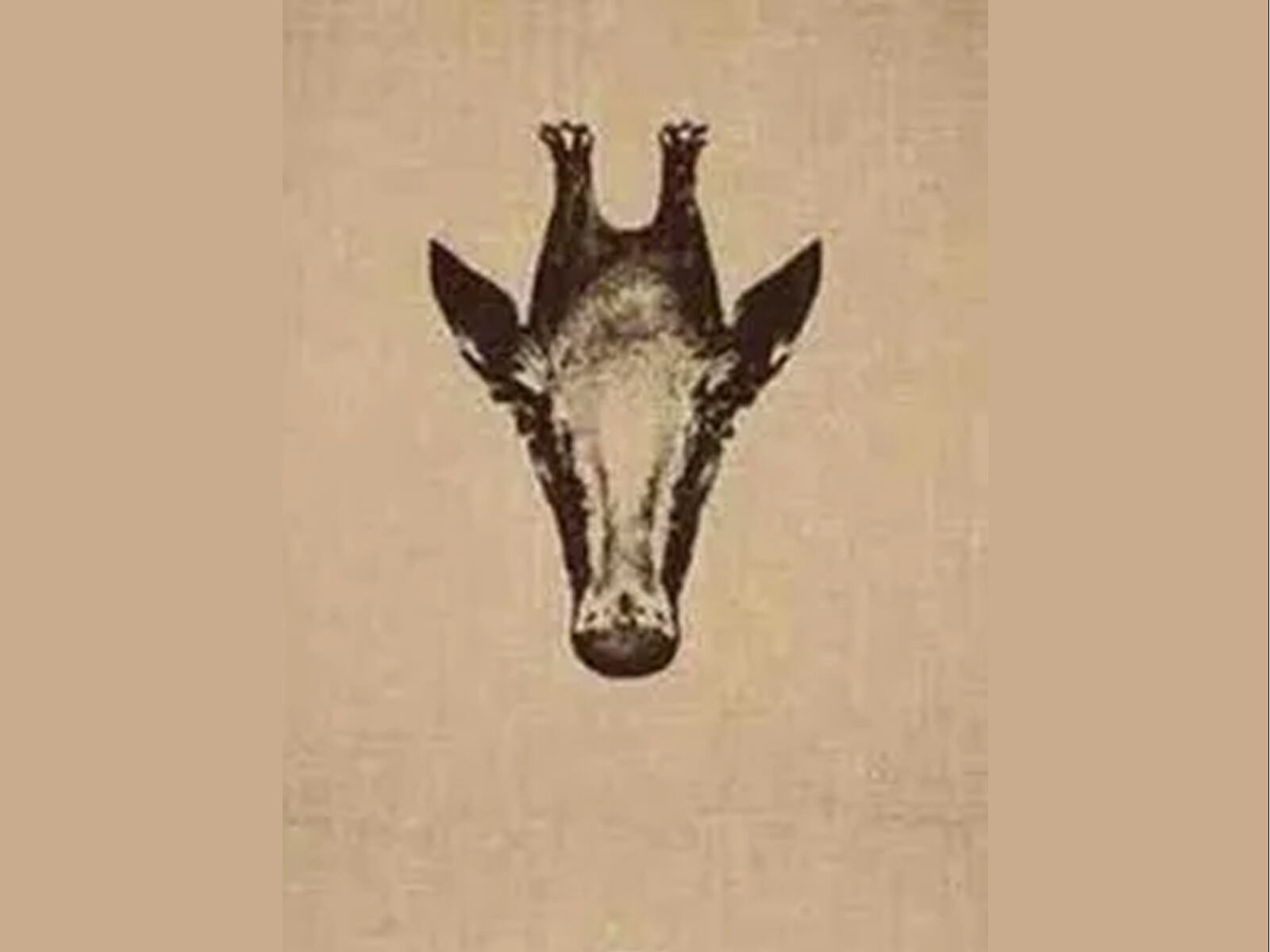 TEST VISUAL | ¿Qué es lo primero que captaste al observar esta imagen? ¿Una jirafa o un pingüino? | sott.nett