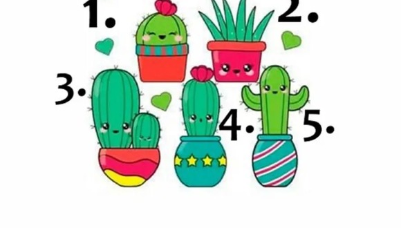 TEST VISUAL | En esta imagen hay varios cactus. Tienes que elegir uno. (Foto: namastest.net)