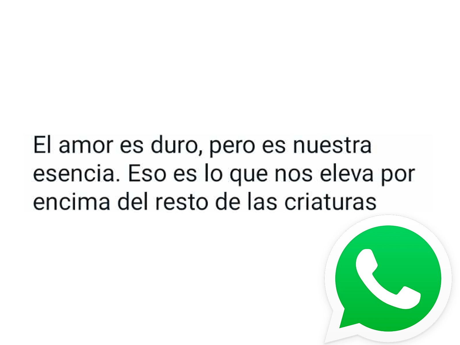WHATSAPP | Si quieres enviar una frase o una oración por el Día de Santa Rosa de Lima, aquí te dejamos algunas para mandarlas por WhatsApp. (Foto: Depor - Rommel Yupanqui)