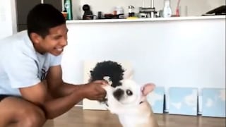 Amor del bueno: el tierno baile de Flores con su perro que te enternecerá [VIDEO]