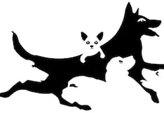 El número de perros que veas en la imagen te dirá cuál es tu verdadera edad mental