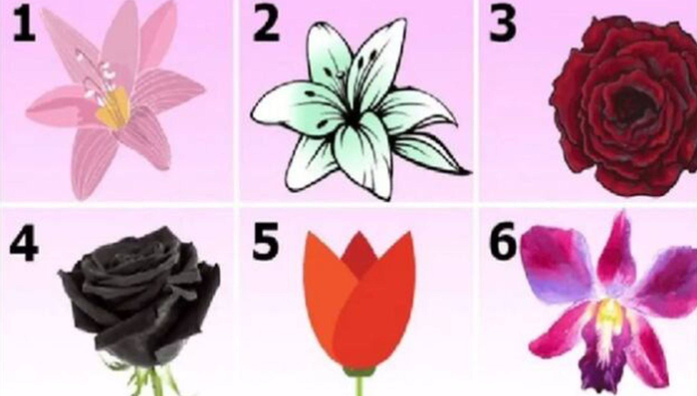 TEST VISUAL | En esta imagen se aprecian muchas flores. ¿Cuál es tu favorita? (Foto: namastest.net)