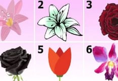 ¿Cuál es tu flor favorita? Responde para que tu verdadera personalidad sea revelada