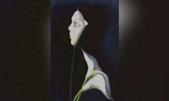 Solo debes indicar qué logras captar y luego podrás conocer los resultados del test visual. (Foto: mdzol)