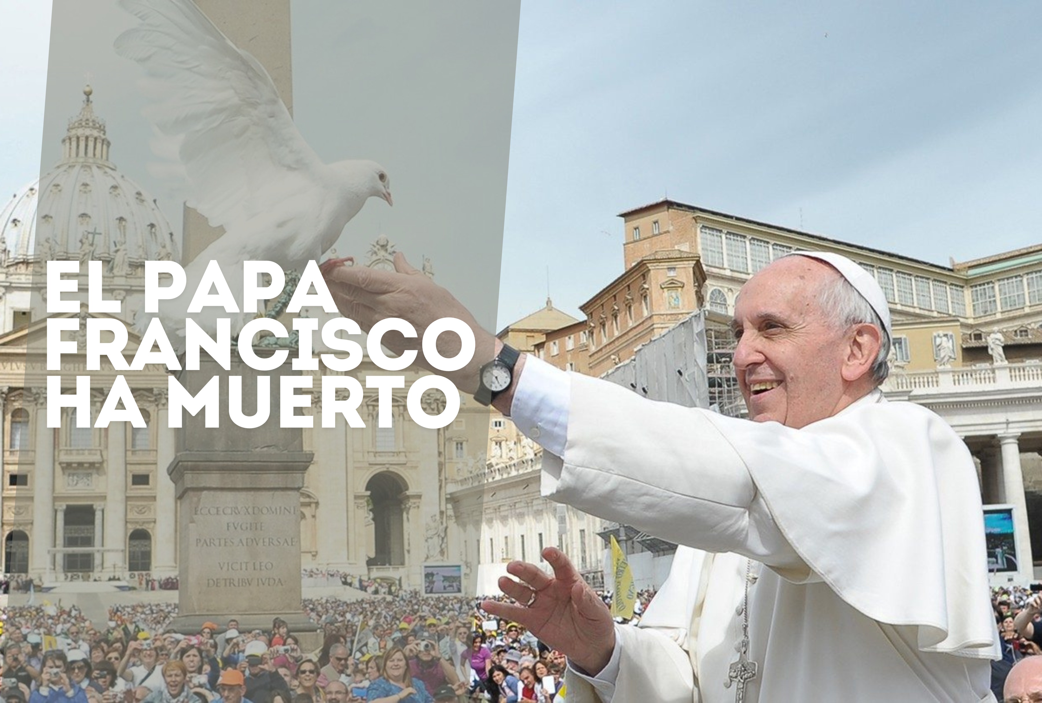 El Papa Francisco libera una paloma blanca como símbolo de paz el 15 de mayo de 2013. El pontífice argentino falleció a la edad de 88 años el 21 de abril de 2025. | Crédito: vaticannews.va