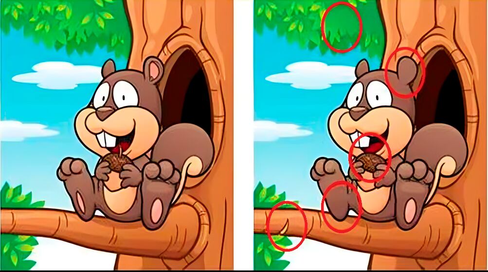 Respuesta al acertijo visual de la ardilla (Foto: GenialGuru)