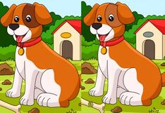 ¿Serás capaz de encontrar las 8 diferencias en 10 segundos? ¡Solo para expertos!