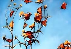 Descubre cuál es tu mayor sueño aquí, según lo primero que veas en la ilustración