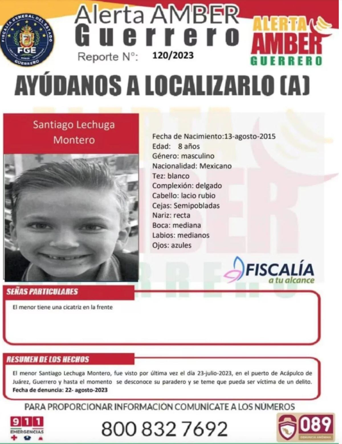 La imagen de Santiago de 8 años (Foto: Alerta Amber Guerrero)