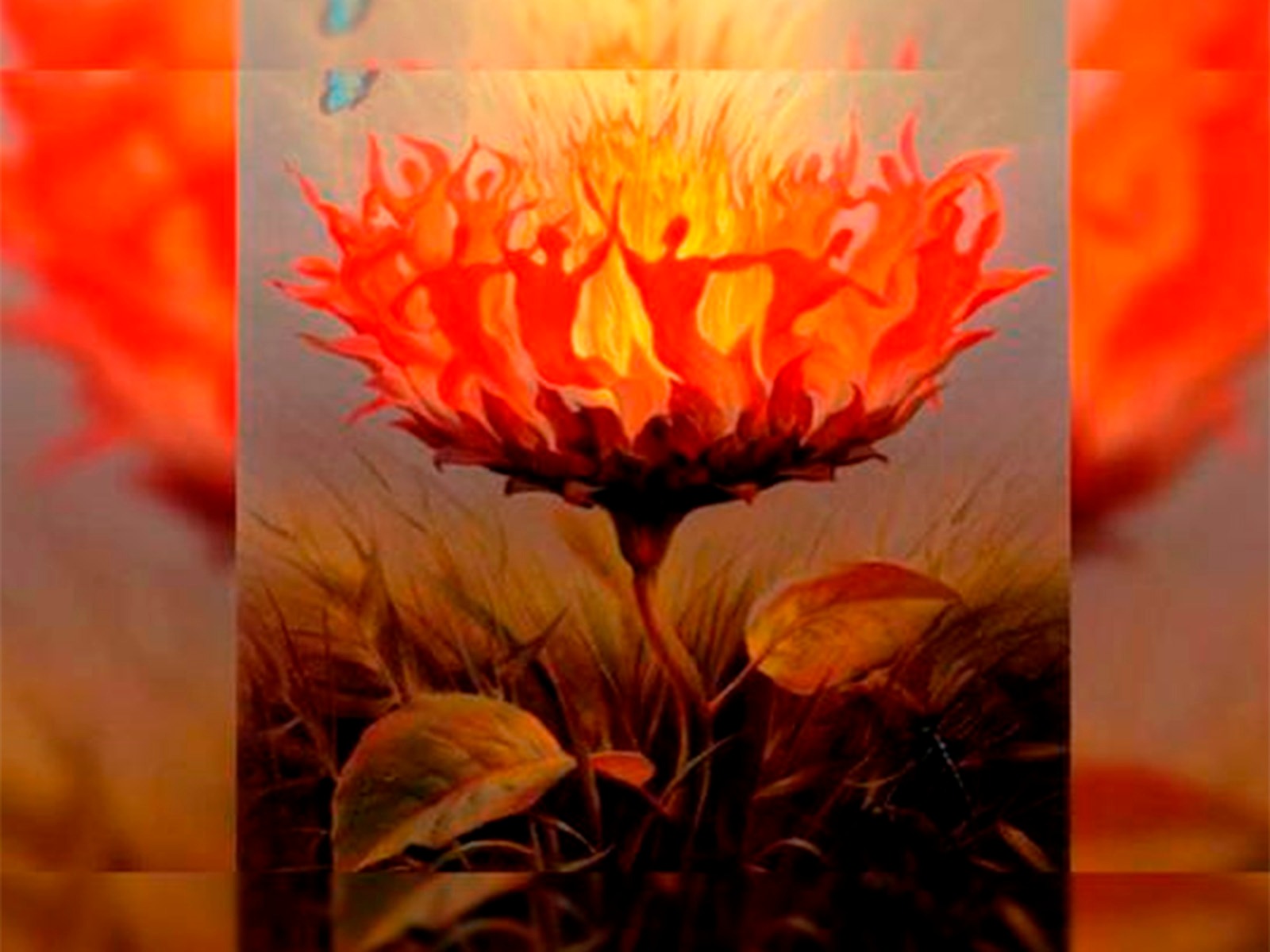 TEST VISUAL | Bastará con que mires la imagen por algunos segundos para que obtengas los resultados. | Foto: chedonna