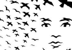 ¿Aves o rostro? Lo que hayas visto primero te ayudará a descubrir los secretos de tu personalidad