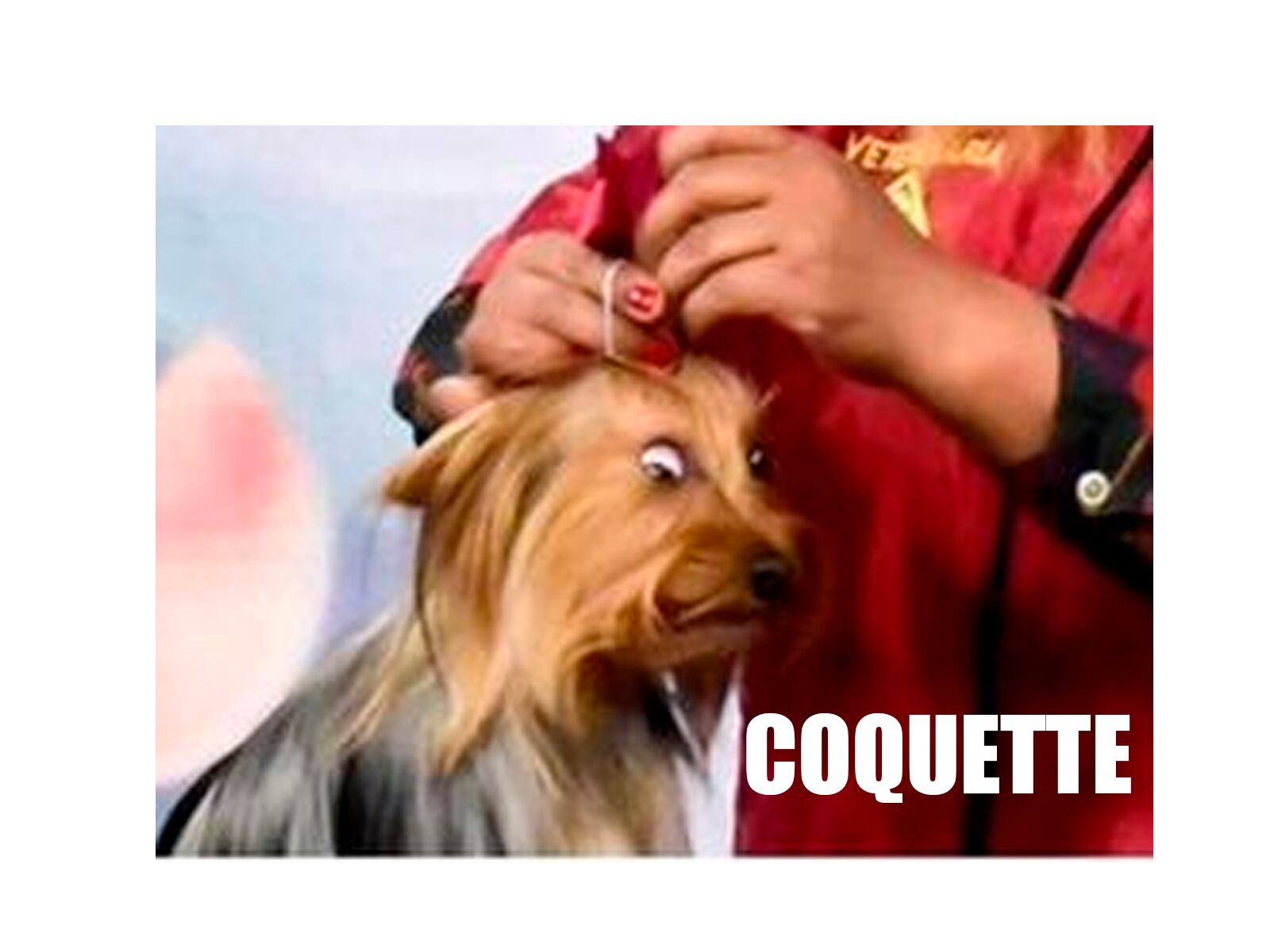 WHATSAPP | Al igual que el "Patito kawai", no dudamos que varios comprarán su moño rosado. (Foto: Meme generator)