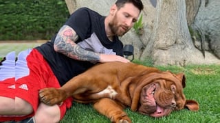 La pregunta que muchos se hacen: ¿dónde está Hulk, el perro de Lionel Messi?