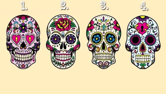 TEST VISUAL | ¿Qué cráneo del gráfico te parece más llamativo? (Foto: Namastest)