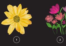 Elije la flor que más te gusta y descubre por qué te cuesta hacer amigos
