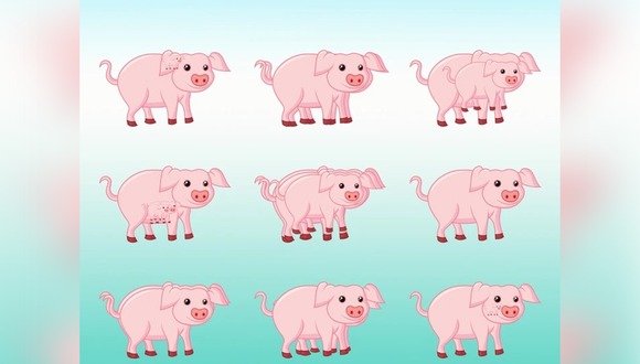 DESAFÍO VISUAL | Solo las personas con un coeficiente intelectual alto pueden detectar todos los cerdos en 15 segundos. | Bright Side