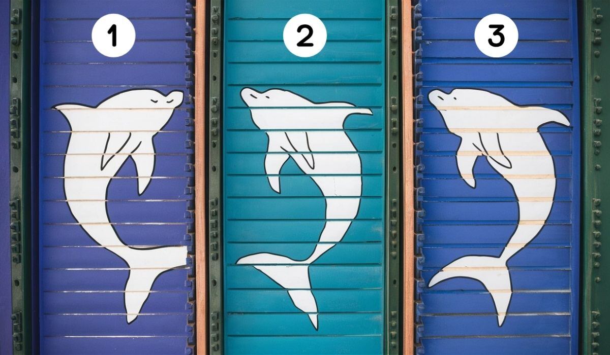 Descubre cuán inteligente eres con solo elegir uno de los delfines en esta imagen (Foto: Depor).