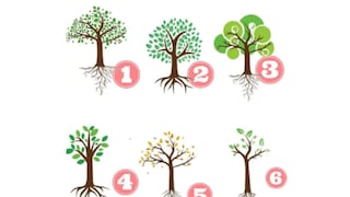 Nada más tienes que seleccionar un árbol para que salga a la luz tu forma de ser