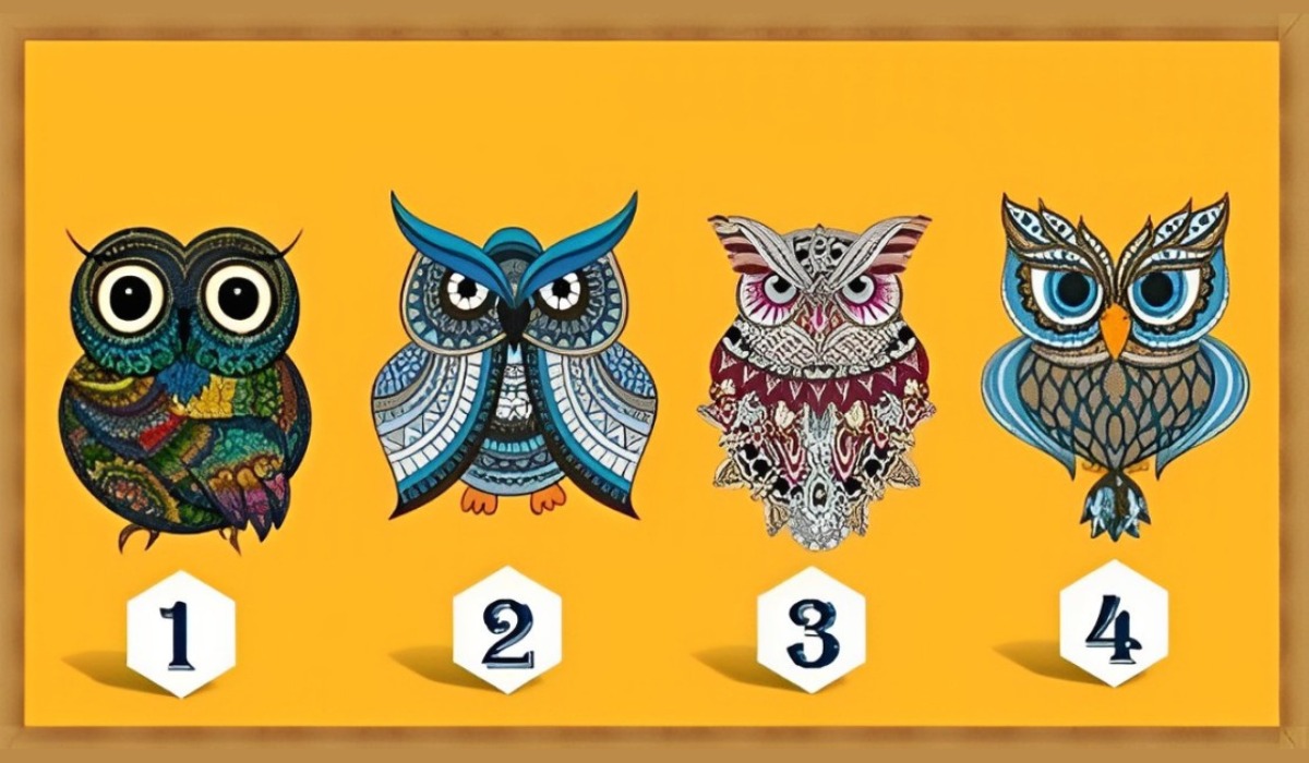 Test visual: elegir uno de los búhos en esta imagen te hará descubrir por qué eres especial (Foto: GenialGuru).
